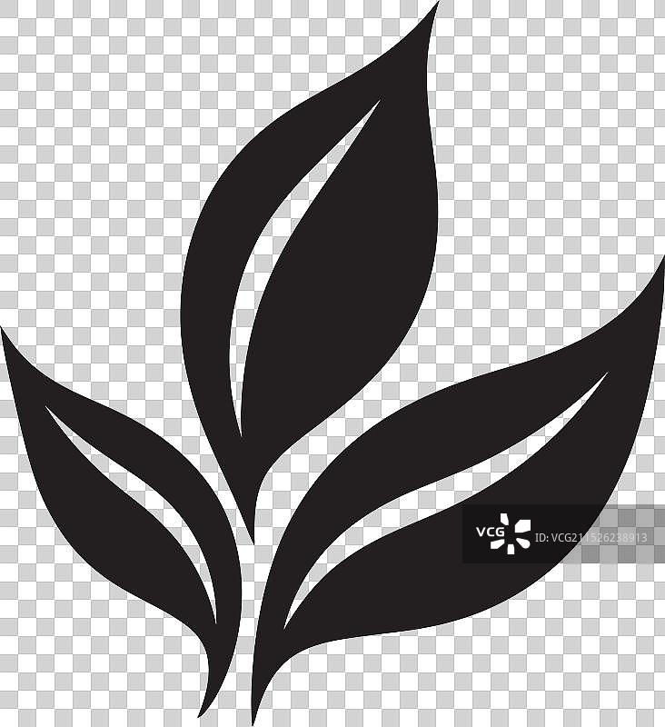 掌握叶片技巧：初学者指南图片素材