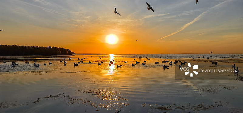 居延海日出图片素材