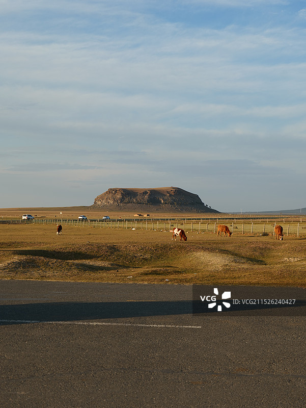 内蒙古达里诺尔湖及博物馆图片素材