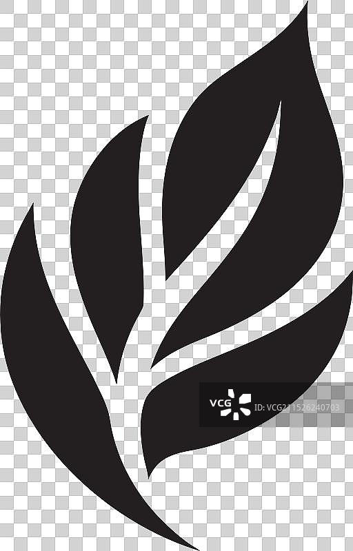 植物之美树叶版大师班图片素材