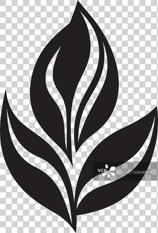 逼真树叶大师班图片素材