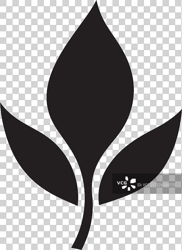 树叶艺术技巧图片素材