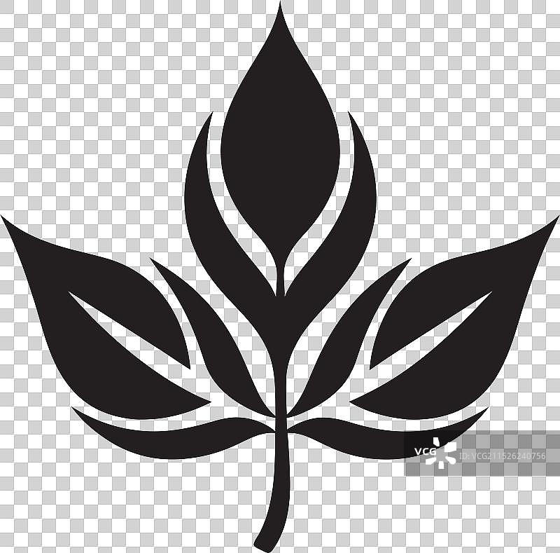 探索树叶技巧入门图片素材