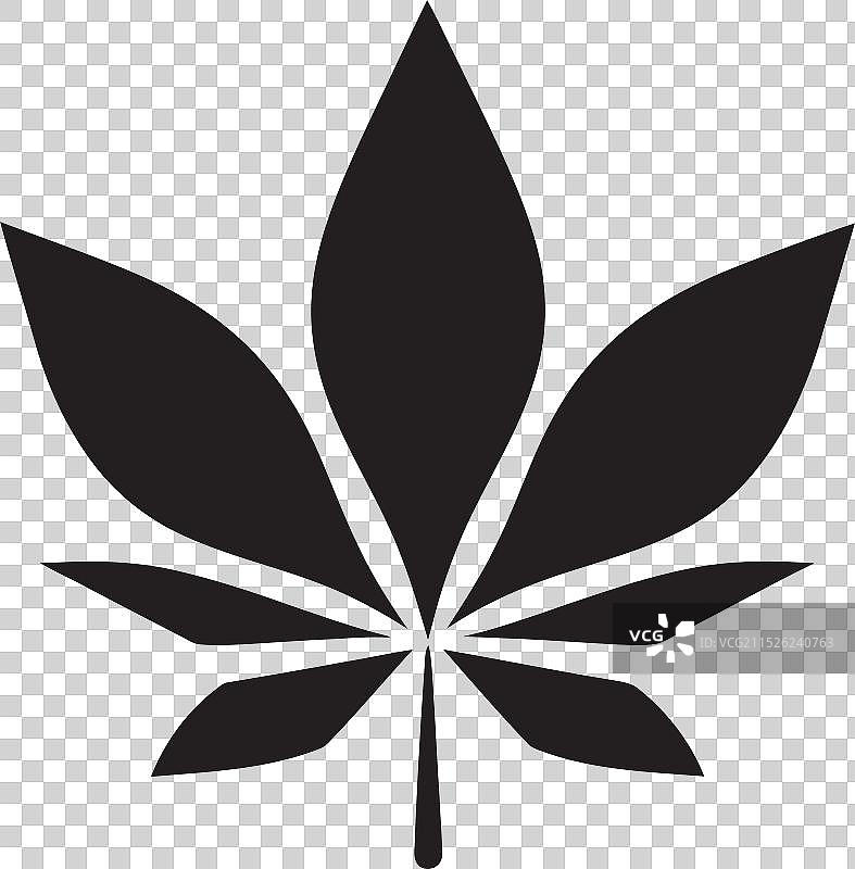 植物之美：叶片工艺图片素材