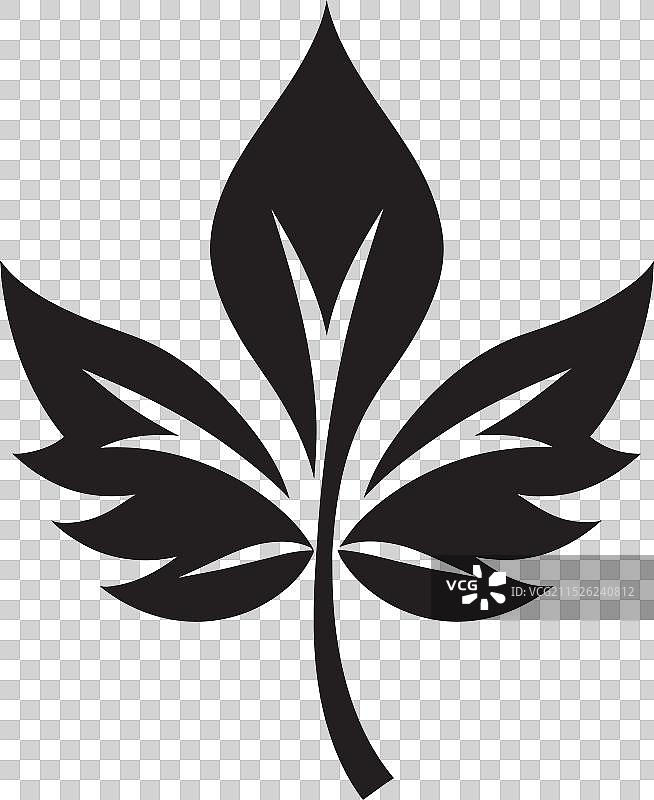 制作逼真的树叶图片素材