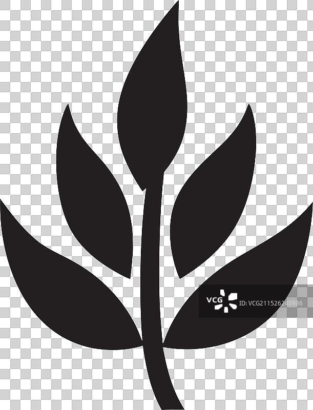 将自然融入设计：叶子魔法图片素材