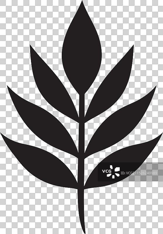 逼真树叶图片素材