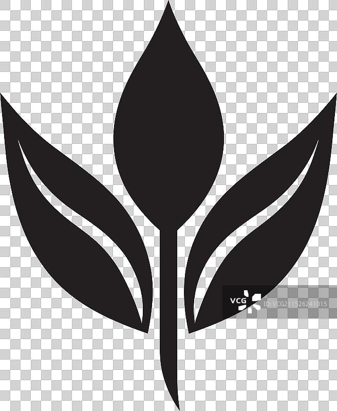叶子帆布的复杂性图片素材