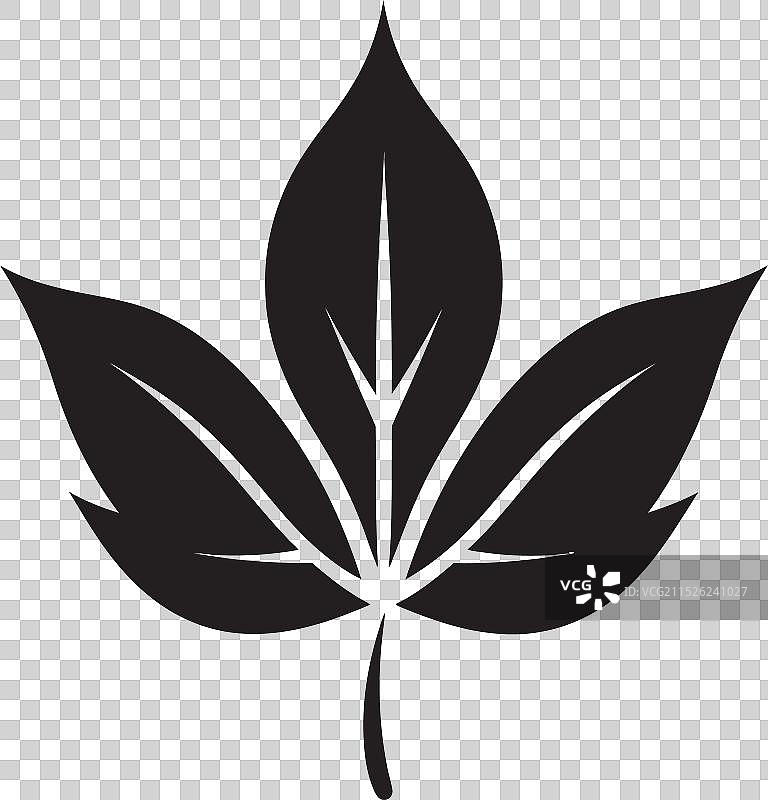 树叶版自然画布图片素材