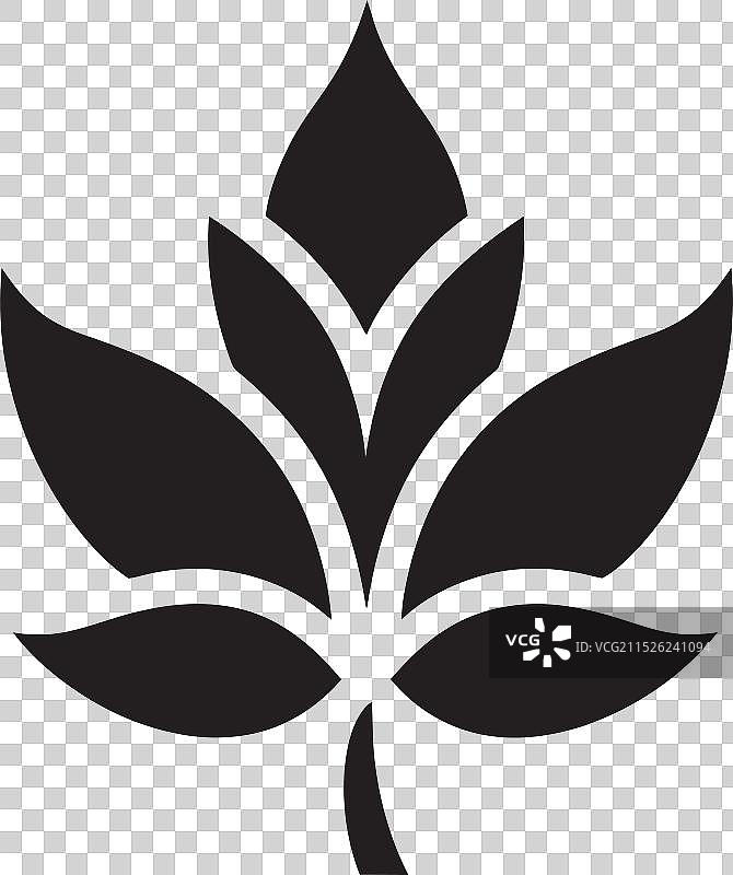 探索自然调色板：树叶的魔力图片素材