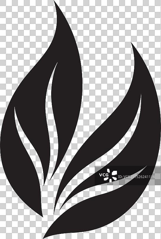 树叶自然设计的精妙之处图片素材