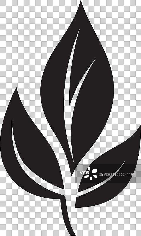 植物叶子精华元素图片素材