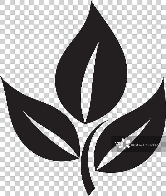 树叶艺术图片素材