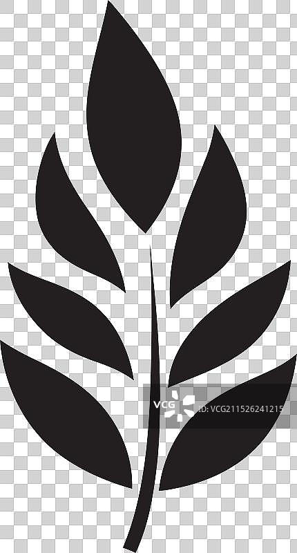 大自然之美：树叶艺术图片素材