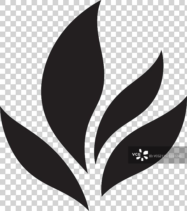 植物美学叶子设计图片素材