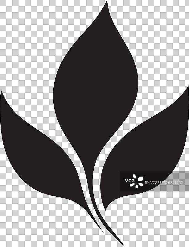 制作逼真的树叶专业技巧图片素材