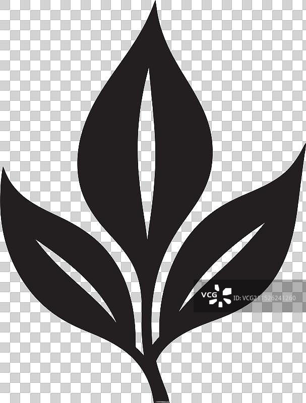 自然叶艺，让自然焕发生机图片素材