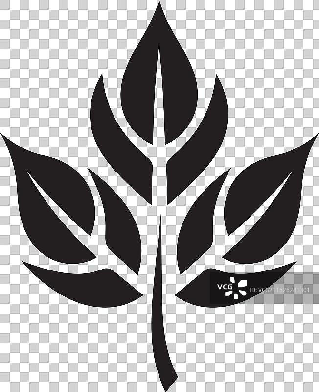 树叶内幕技巧图片素材