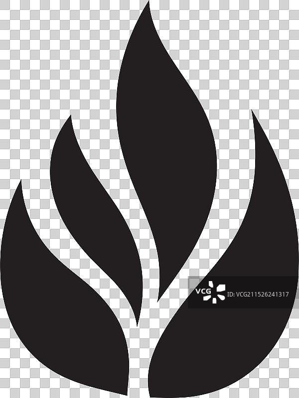 树叶植物的复杂世界图片素材