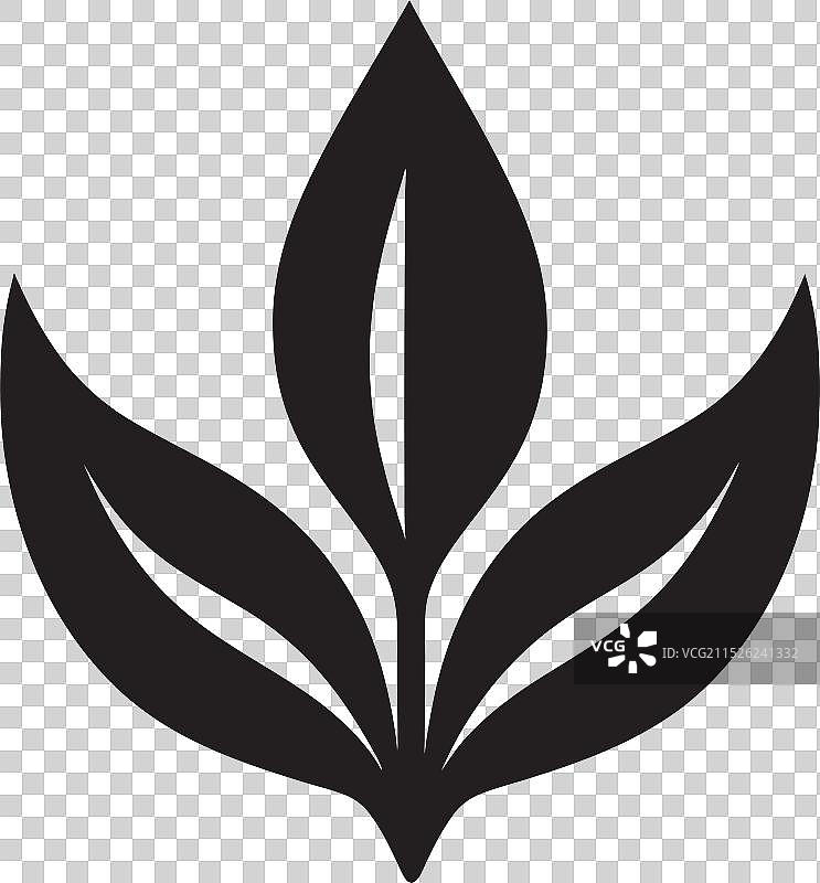 植物叶子设计图片素材