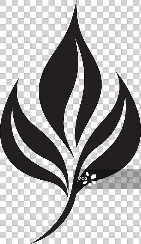 树叶艺术植物之美图片素材