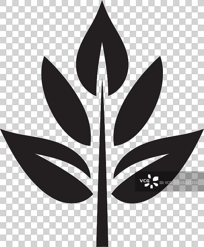 叶艺技巧大师班图片素材