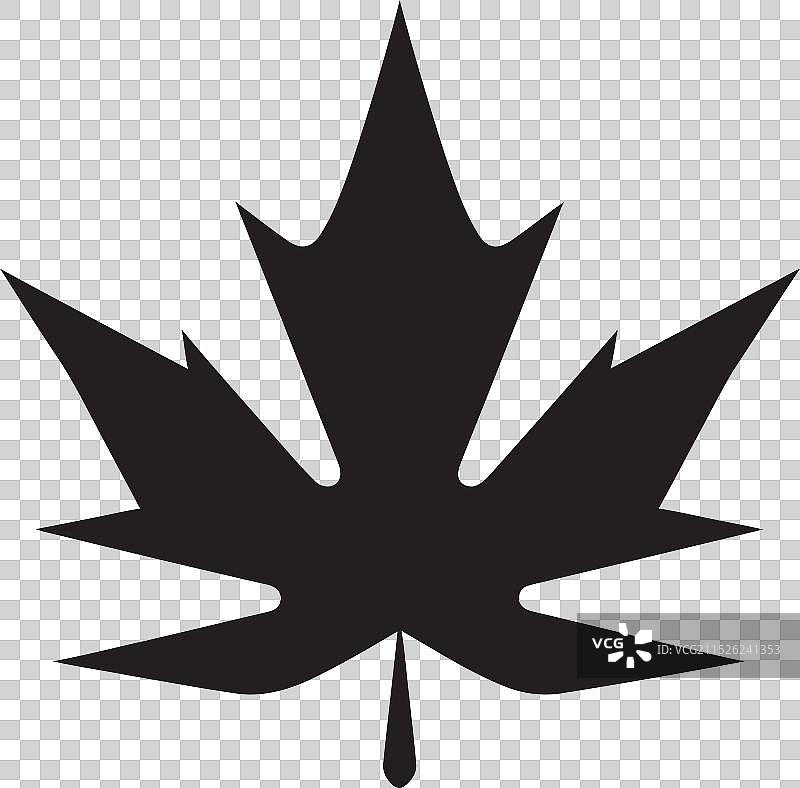 从草图到树叶：捕捉自然之美图片素材