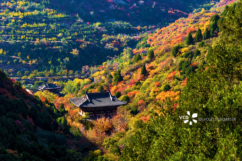 太山秋色图片素材