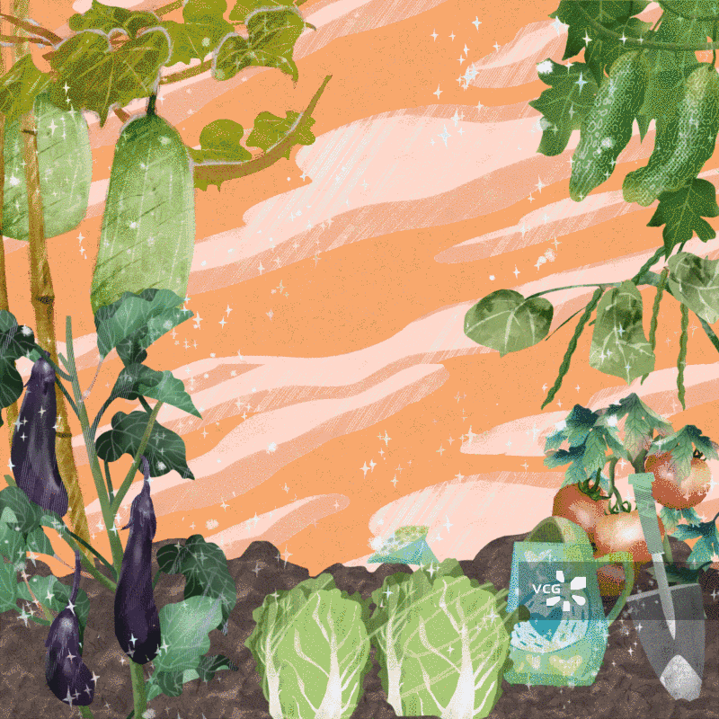 蔬菜种植插画背景图片素材
