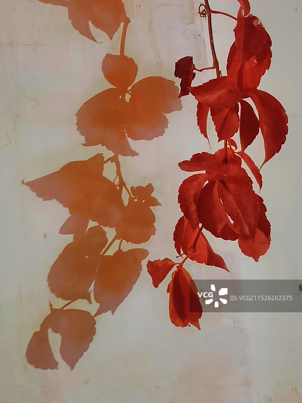 光与影的传说图片素材