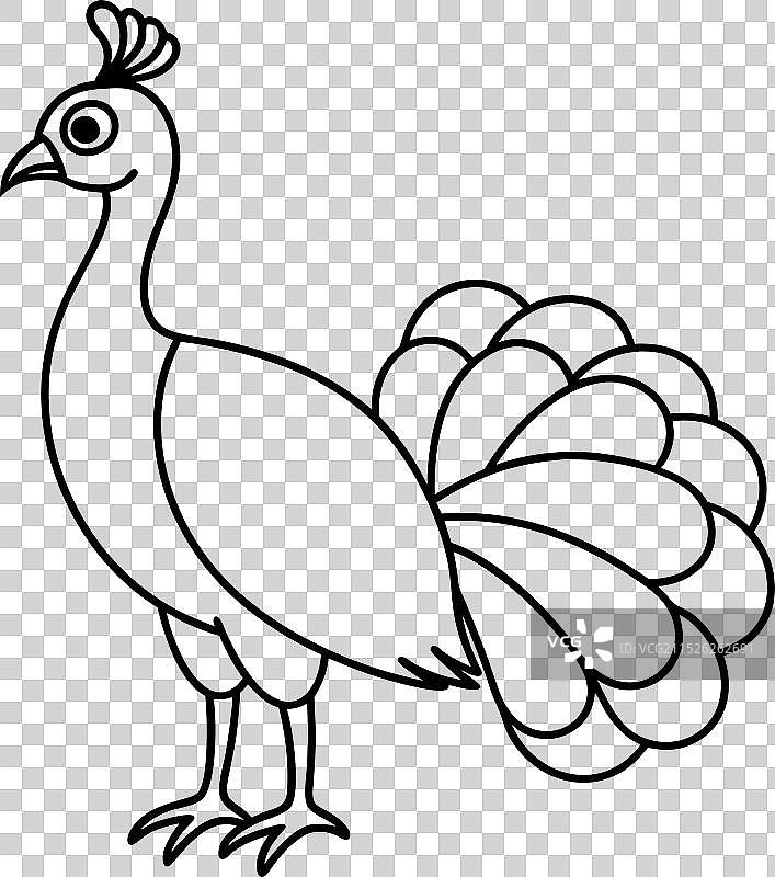 可爱的扁平风孔雀2图片素材