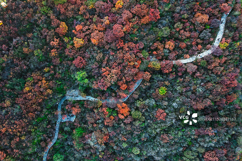 坡峰岭秋色图片素材