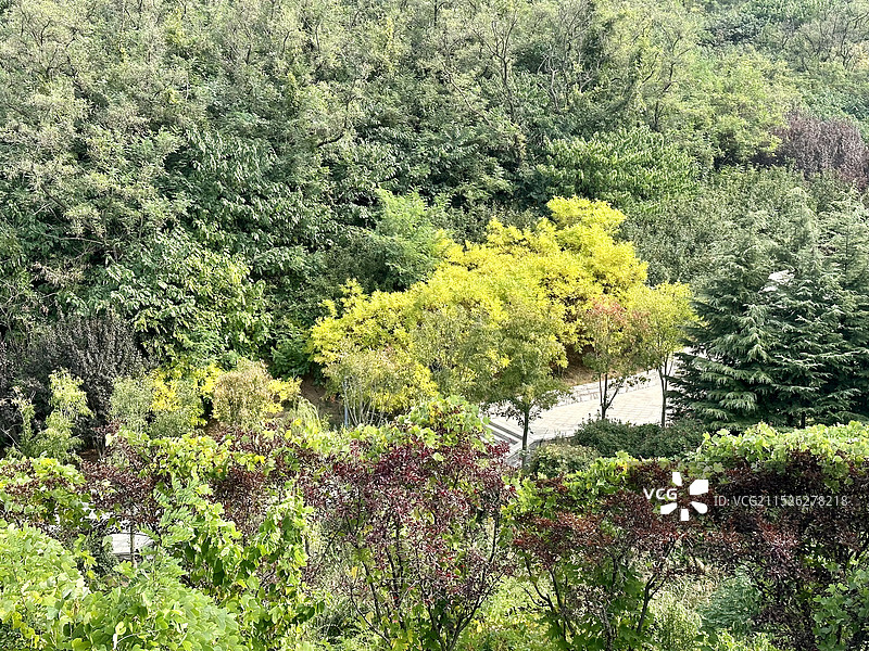 青岛十梅庵风景区（青岛梅园）图片素材