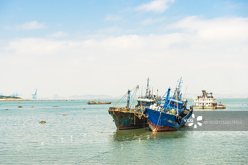 渔船 船 海洋 海港 泉州芝祥渔港 船 泉州旅游图片素材