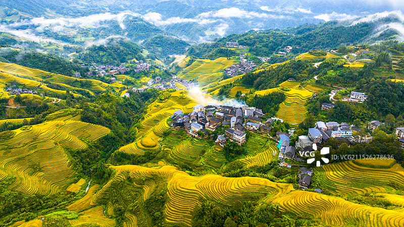 金秋时节龙脊梯田图片素材