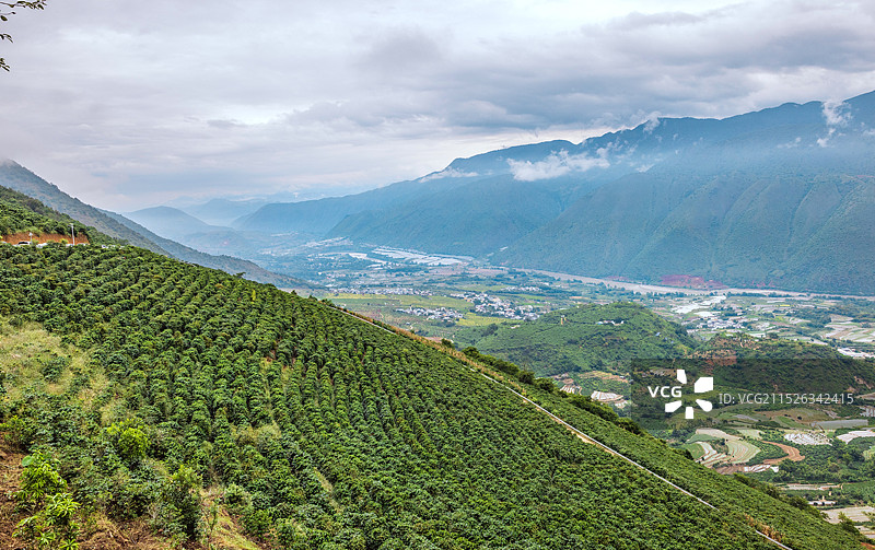 保山高黎贡国际精品咖啡文化园景区图片素材