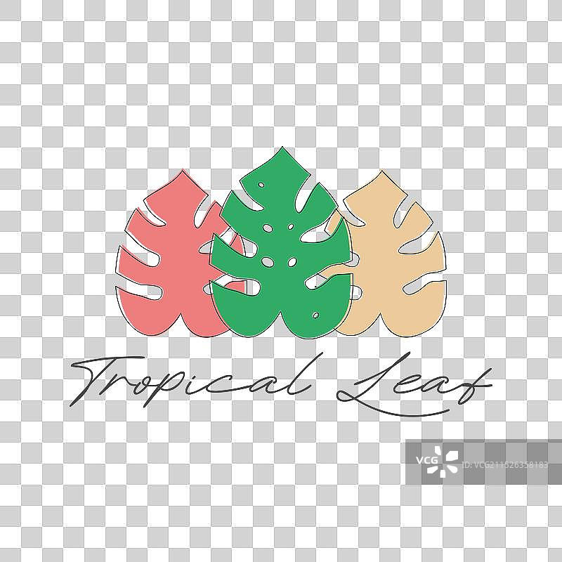 三片龟背竹叶或热带叶子标志设计图片素材