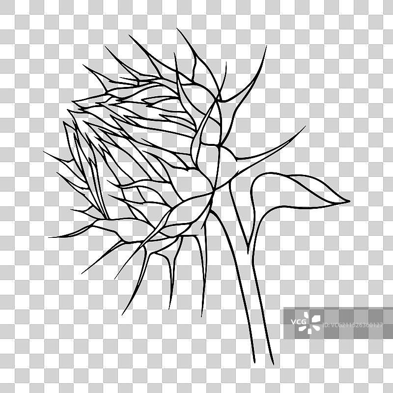 线条艺术风格的向日葵图形图片素材