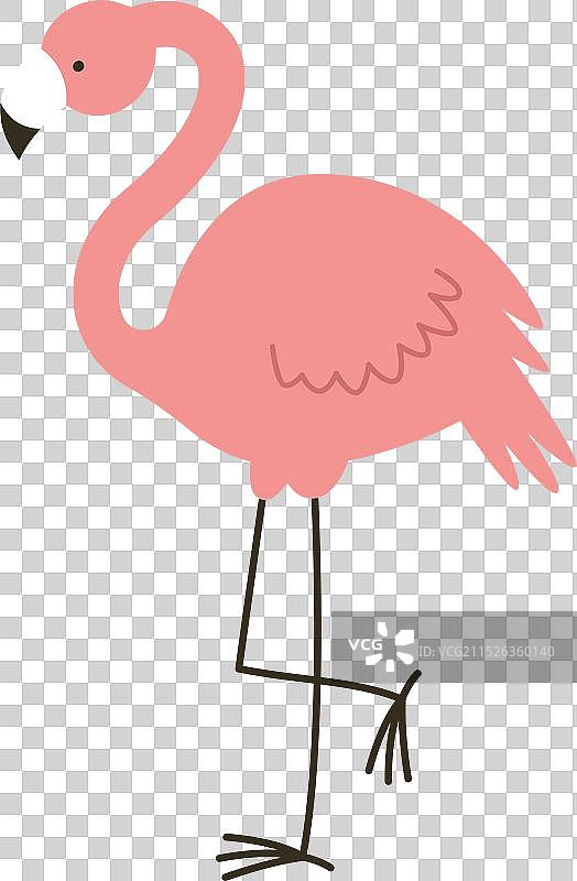 手绘火烈鸟图片素材