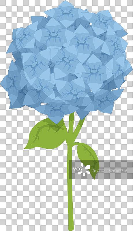 植物叶子花朵卡通婚礼图标图片素材