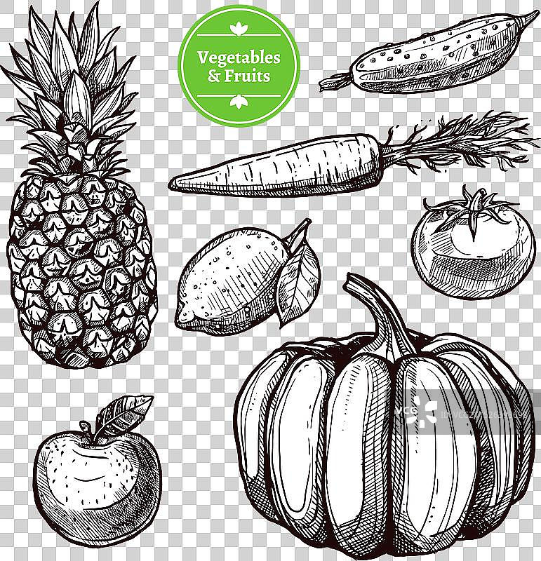 蔬菜和水果合集图片素材