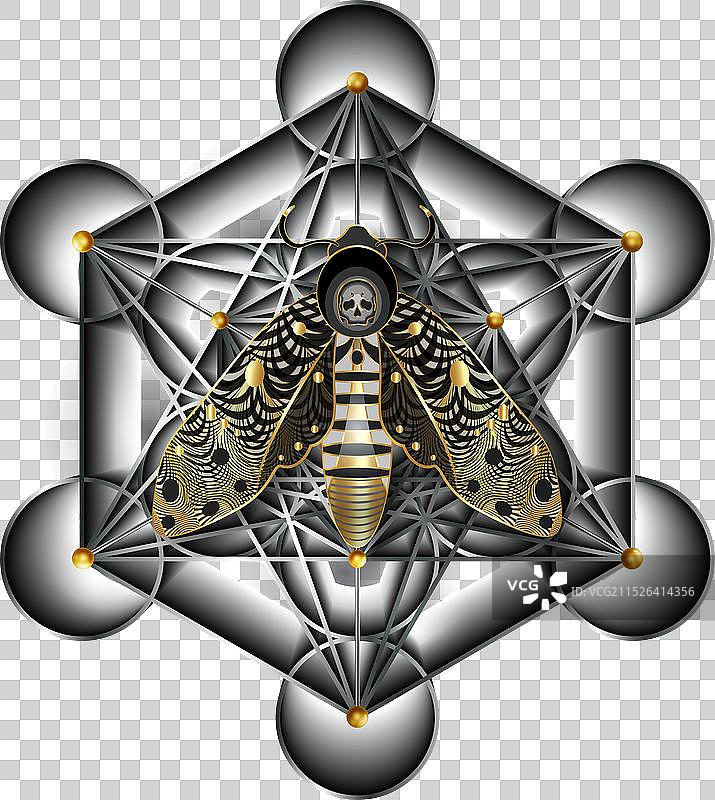 死亡骷髅飞蛾标志上的梅塔特隆立方体图片素材