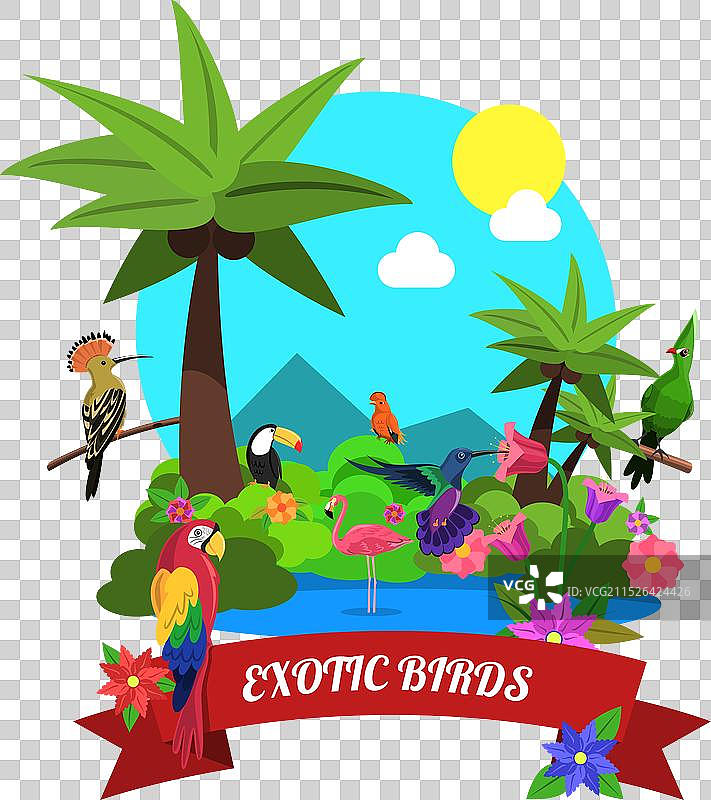 异域风情鸟类概念图片素材