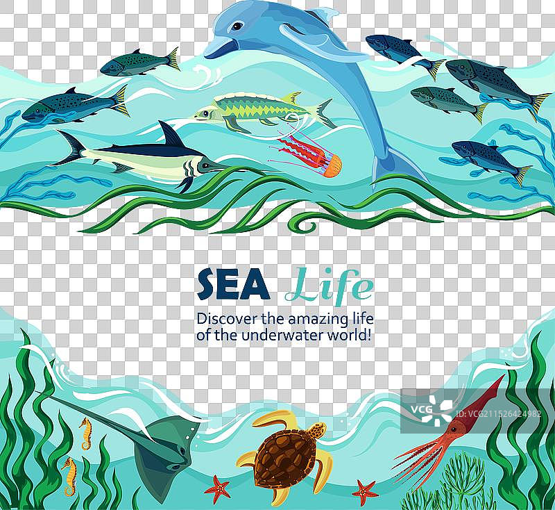 水下生物卡通图片素材