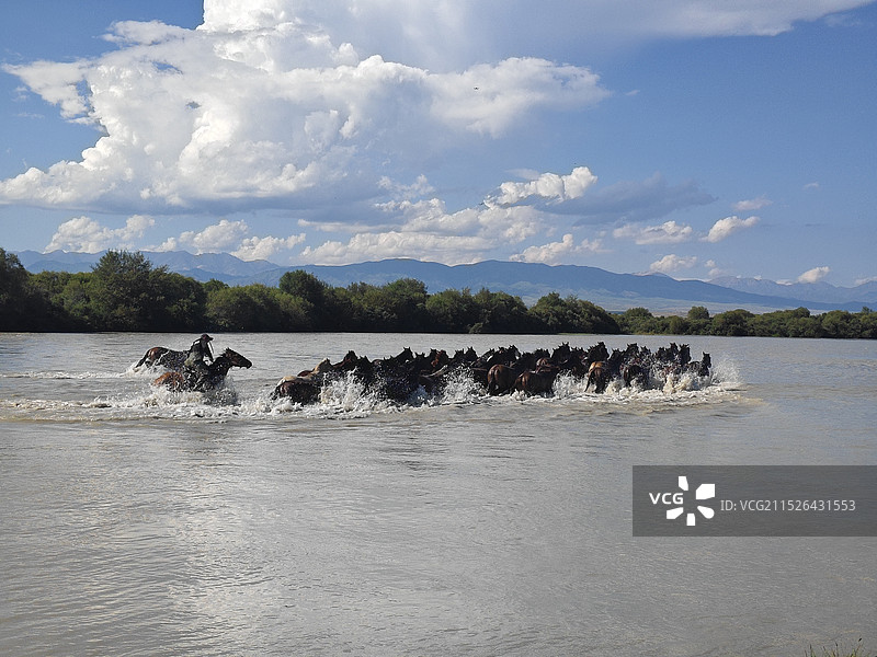 天马浴河图片素材