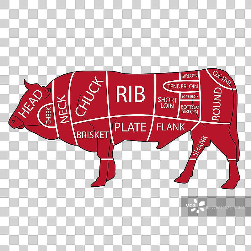 牛肉各部位名称图片素材