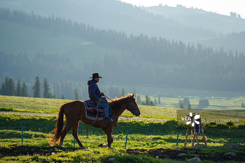 草原上的放牧者图片素材