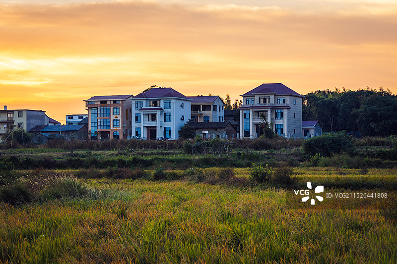 乡村与稻田图片素材