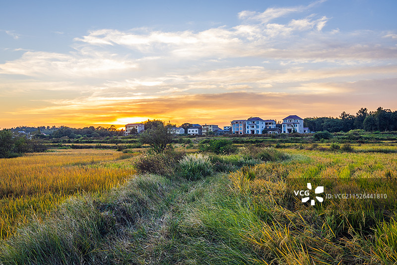 乡村与稻田图片素材