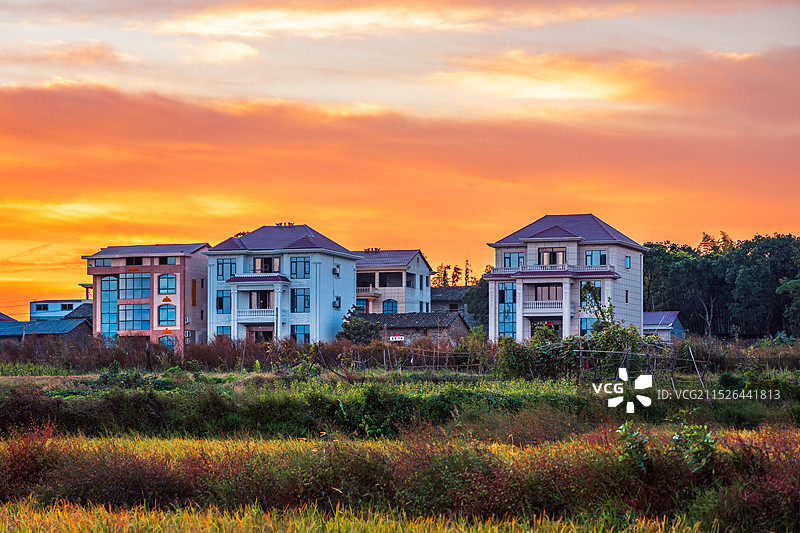 乡村与稻田图片素材